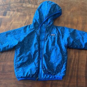 Patagonia Reversible Down Sweater Hoody